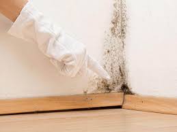 Best Asbestos and Lead Testing During Mold Inspection  in Valley Falls, SC